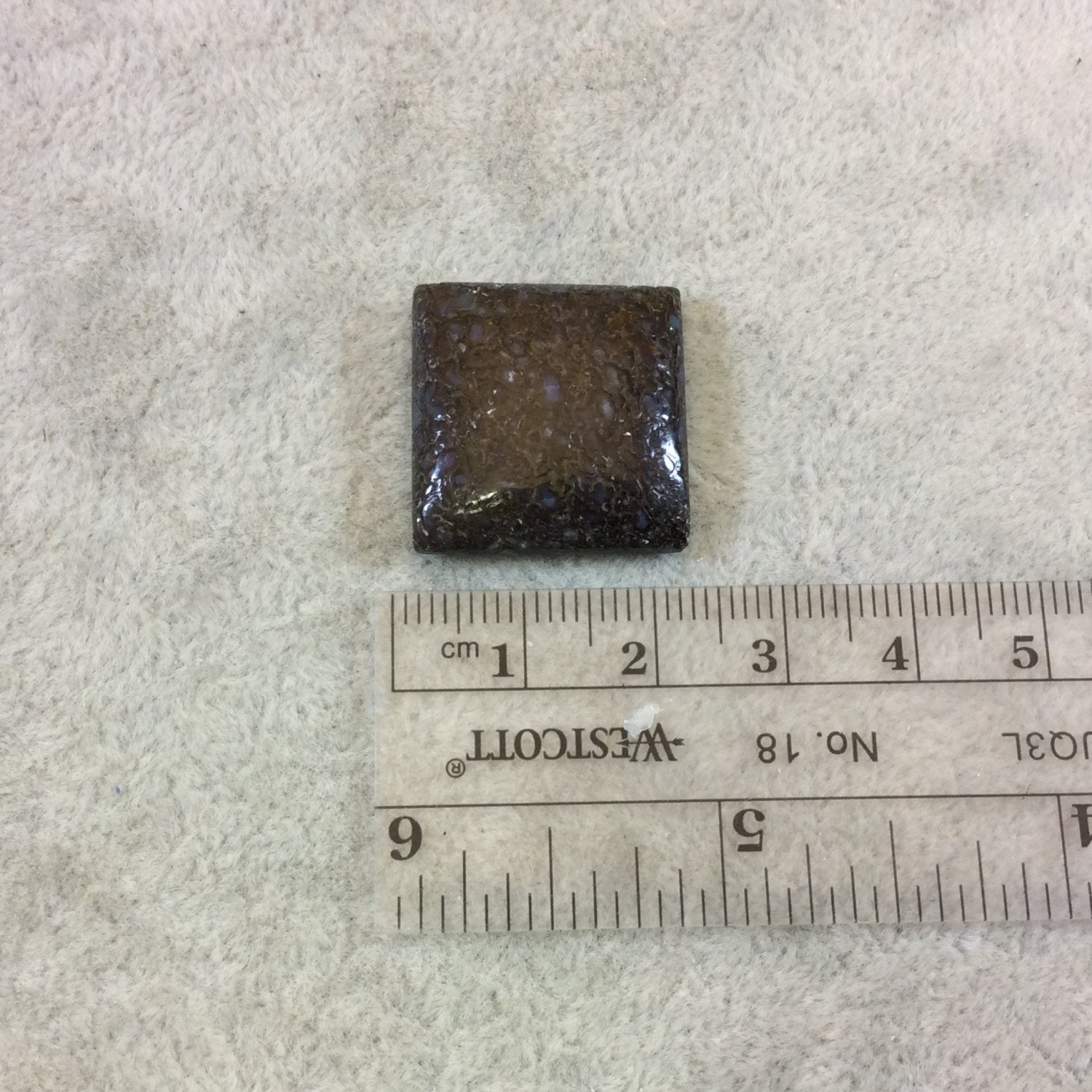 Petrified Dinosaur Bone Square Shaped Flat Back Cabochon - Measuring 21mm x 22mm, 5mm Dome Height - Natural High Quality Gemstone