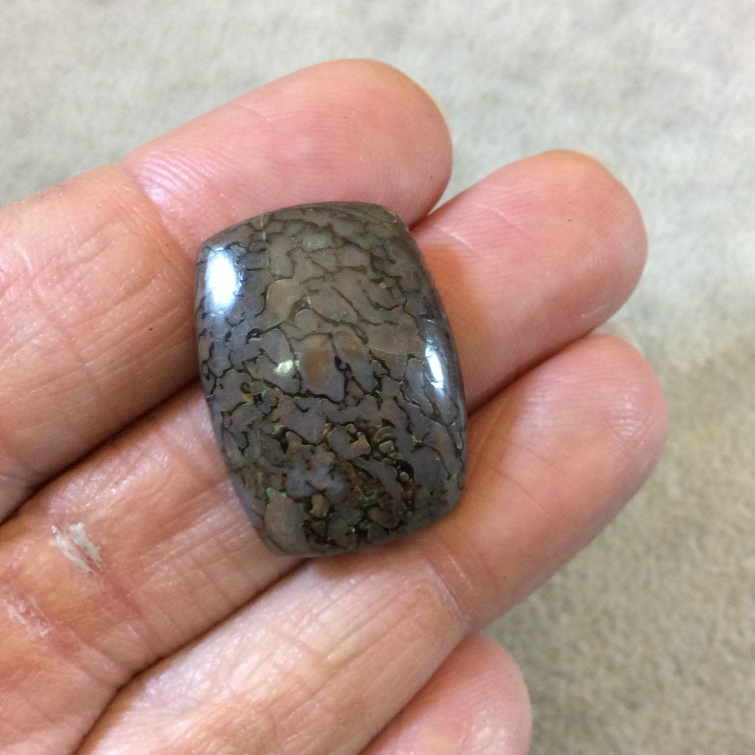 Petrified Dinosaur Bone Rounded Rectangle Shaped Flat Back Cabochon - Measuring 19mm x 26mm, 6mm Dome Height - Natural High Quality Gemstone