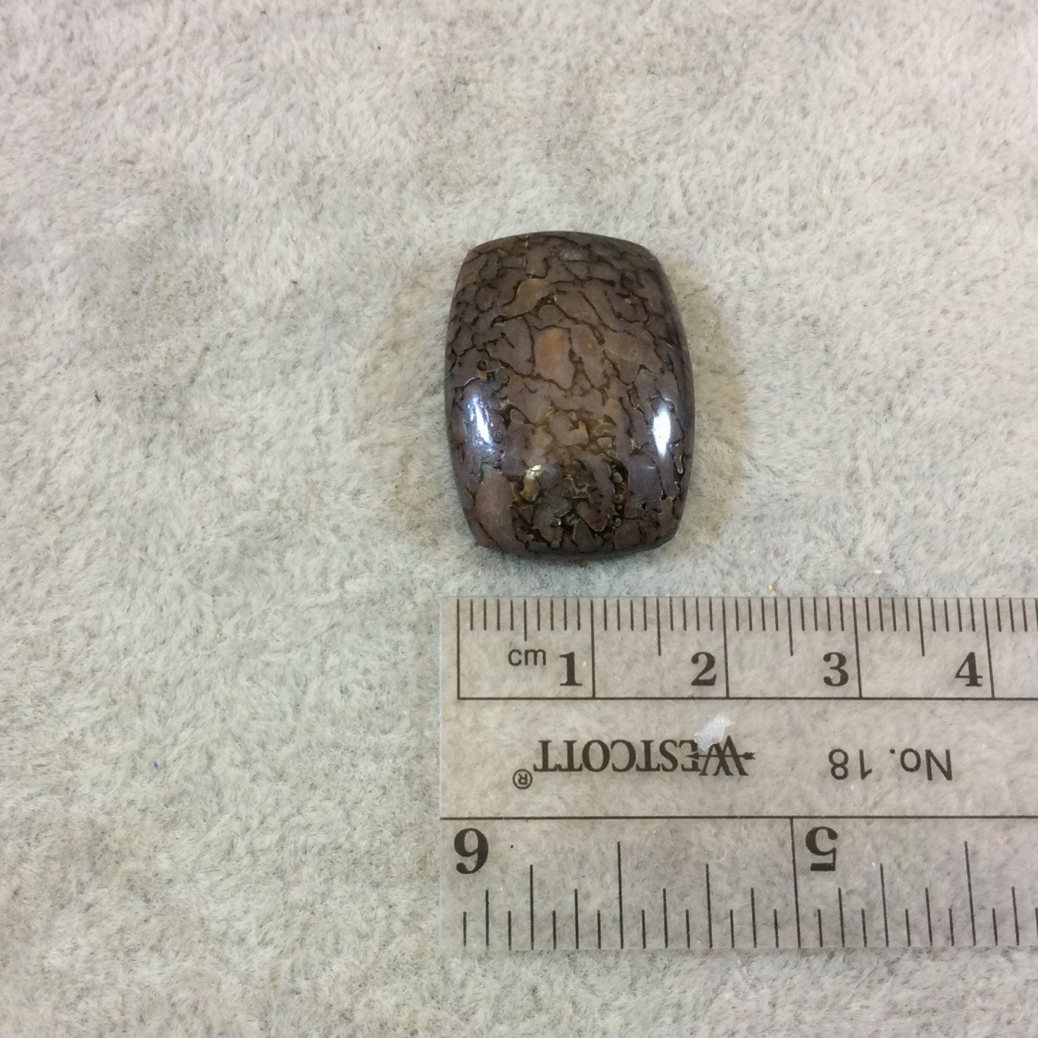 Petrified Dinosaur Bone Rounded Rectangle Shaped Flat Back Cabochon - Measuring 19mm x 26mm, 6mm Dome Height - Natural High Quality Gemstone