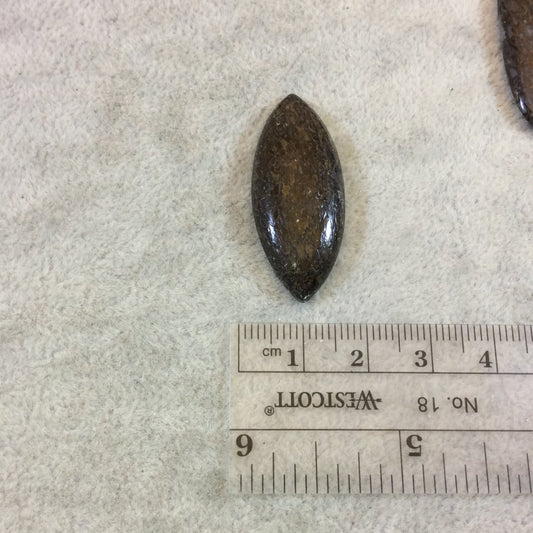 Petrified Dinosaur Bone Marquise Shaped Flat Back Cabochon - Measuring 15mm x 36mm, 5mm Dome Height - Natural High Quality Gemstone