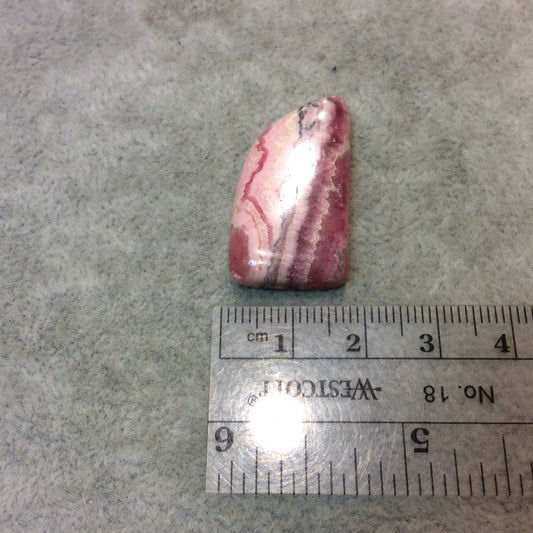 Natural Pink/White Rhodochrosite Freeform Shaped Flat Back Cabochon - Measuring 17mm x 31mm, 5mm Dome Height - High Quality Gemstone