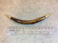5" Medium Brown Skinny Double Bail Boat Crescent Shaped Natural Ox Bone Pendant with Gold Rings - Measuring 12mm x 145mm - (TR118-MB)