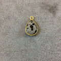 Gold Plated Natural Dalmatian Jasper Faceted Pear/Teardrop Shaped Copper Bezel Pendant - Measures 10mm x 15mm - Sold Individually, Random