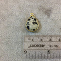 Gold Plated Natural Dalmatian Jasper Faceted Pear/Teardrop Shaped Copper Bezel Pendant - Measures 13mm x 18mm - Sold Individually, Random