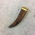 3.5" Warm Brown Flat Tusk/Claw Shaped Natural Ox Bone Pendant with Dotted Gold Cap - Measuring 22mm x 92mm, Approx. - (TR053-WB)