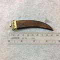 3.5" Warm Brown Flat Tusk/Claw Shaped Natural Ox Bone Pendant with Dotted Gold Cap - Measuring 22mm x 92mm, Approx. - (TR053-WB)