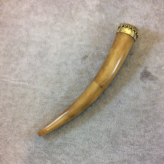 SALE - 5.5" Extra Long Light Brown Round Tusk/Claw Shaped Natural Ox Bone Pendant with Dotted Gold Cap - Measuring 20mm x 140mm
