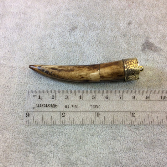 3.25" Long Warm Brown Round Ox Bone Tusk/Claw Shaped Pendant with Floral Patterned Gold Cap - Measuring 15mm x 82mm (TR043-WB)