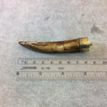 3.25" Long Warm Brown Round Ox Bone Tusk/Claw Shaped Pendant with Floral Patterned Gold Cap - Measuring 15mm x 82mm (TR043-WB)
