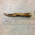 SALE - 4.5&quot; Long Wavy Warm Brown Natural Ox Bone Tusk/Claw Shaped Pendant with Dotted Gold Cap - Measuring 17mm x 116mm - Sold Individually