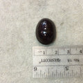 OOAK High Quality AAA Oval Shaped Dark Plum Star Garnet Flat Back Cabochon - Measuring 17mm x 23mm, 12mm Dome Height - Natural Gemstone Cab
