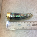 SALE - 3" Iridescent Rainbow Flat Point Round Tusk/Claw Shaped Natural Abalone Pendant with Gold Cap - Measuring 23mm x 80mm - (TR3RBFPRAB)