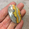 OOAK Natural Bumblebee Jasper Oblong Oval Shaped Flat Back Cabochon - Measuring 28mm x 46mm, 4mm Dome Height - High Quality Gemstone Cab